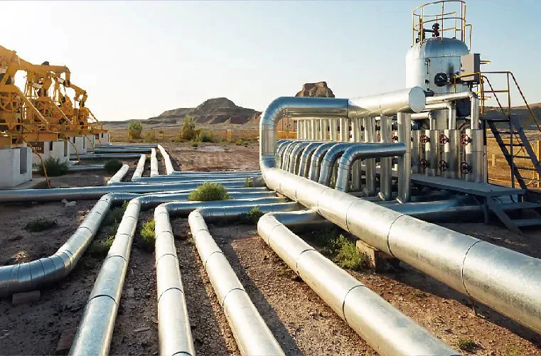 Pipelines and networks monitoring application